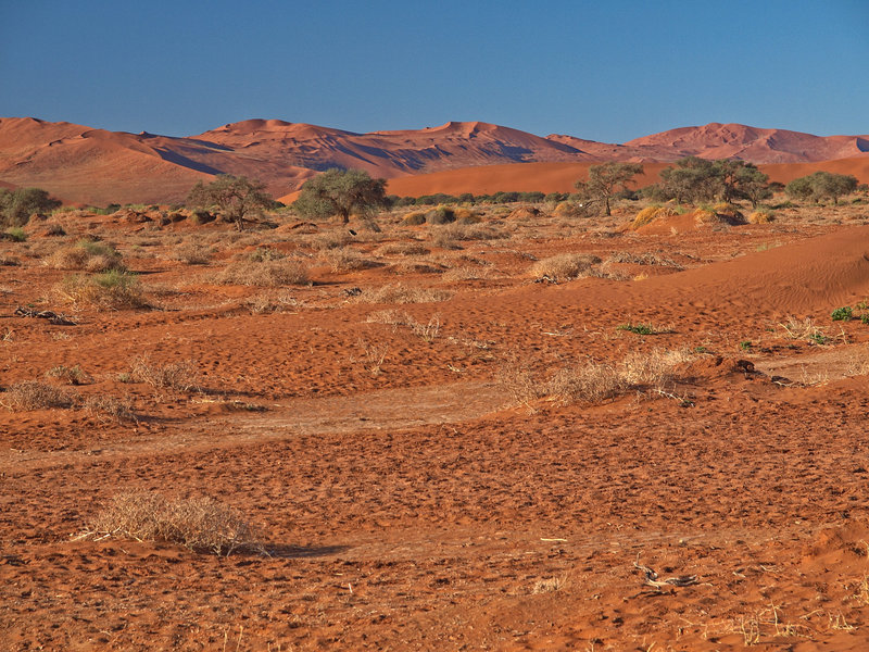 Sossusvlei